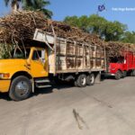 PIDEN A TRANSPORTISTAS DE CAÑA QUE RESPETEN ALTURA PARA EVITAR RIESGOS