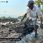CAÑEROS DE ZACATEPEC SUPERAN INCERTIDUMBRE GENERADA POR EL ARROZ