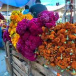 CAE LA VENTA DE FLORES DE “MUERTO”