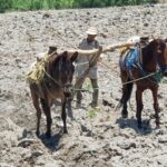 HAY PREPARACIÓN ANTE “DESASTRES NATURALES”: GALEANA TORRES