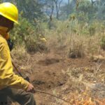 INCENDIOS; EN PLENA TEMPORADA, PC ALERTA