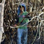 “Pegan” las cañas accidentadas al bolsillo de más de 5 mil productores