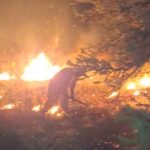 ZACATEPEC REGISTRA 50 INCENDIOS EN LO QUE VA DEL AÑO