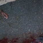 CUATRO MUERTES VIOLENTAS EN MENOS DE 24 HORAS, REGISTRA EL SUR