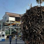 ARRANCA LA ZAFRA 2025-2026 CON “MUY BUENAS EXPECTATIVAS EN CAMPO”