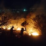 COMBATEN CON ÉXITO PRIMER INCENDIO FORESTAL EN EL SUR