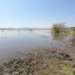 AUN NO LLEGA LO FUERTE Y EL NIVEL DE LA LAGUNA DE COATETELCO YA ESTÁ EN UN 50%