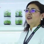 NUEVAS CASAS EN TERRENOS PARA INVESTIGACIÓN Y TECNOLOGÍA, NO AFECTA: TITULAR DEL INIFAP