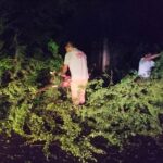15 ÁRBOLES COLAPSADOS, POSTES Y CABLES AFECTADOS, ENCHARCAMIENTOS Y DEMÁS DEJÓ LA GRANIZADA DE LA NOCHE DEL VIERNES