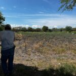 SEQUÍA PROVOCA PÉRIDA TOTAL DE MAIZ EN XOXOCOTLA