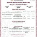 MARIO DELGADO ENCUBRE IRREGULARIDADES Y ACTOS DE CORRUPCIÓN EN LA DIRECCIÓN GENERAL DE PROFESIONES DE LA SEP