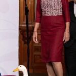 VIRULENCIA DE PATO-NOTAS Y NOTAS-PATO